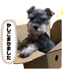KAHO_20190701164708