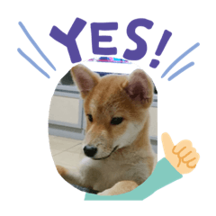 可愛帥氣的阿福弟弟