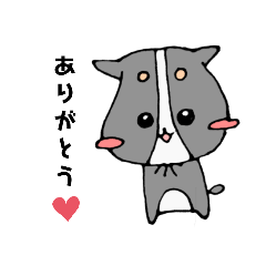 日常のうちのわんこ【時々くまさん】