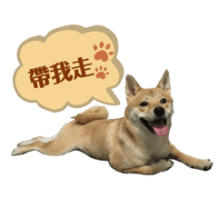 Nei有話說：
