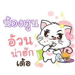 NONGTOON Seenuan cat_E