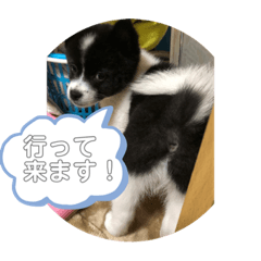 Sherry_20190705101002