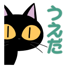 Ueda&Black cat