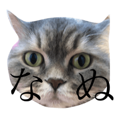 akane_20190705155544