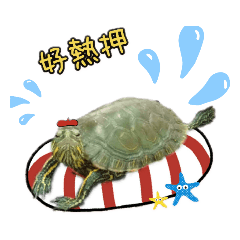 龜山搗