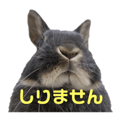 Tommy_20190704184243