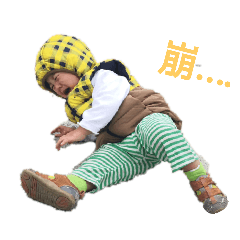 崩崩哥
