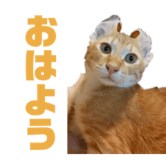 chihiro_20190705125230