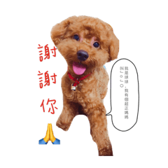 狗狗系列