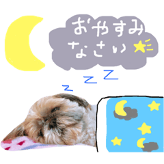 miki_20190701202623