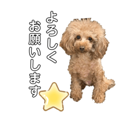 cocoa_20190705062753