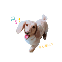 mizuki_20190705190034