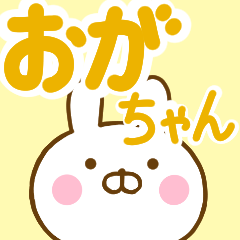 Rabbit Usahina ogachan