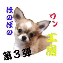 Cute chihuahua stickers in Japan