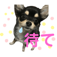 natsumi_20190705201528