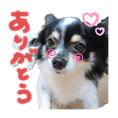 rika_20190705191728