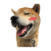 yoshidasan_20190705191741