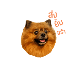 Ken_20190705211218