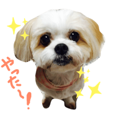 おめぐのスタンプ