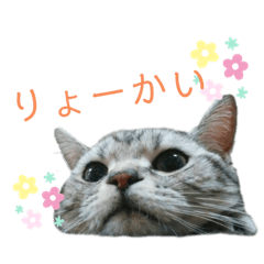 yukiko_20190705204149