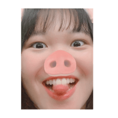 柔豬
