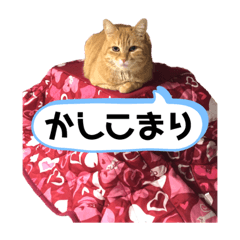 chiro_20190703171758