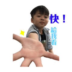 林家兄弟檔