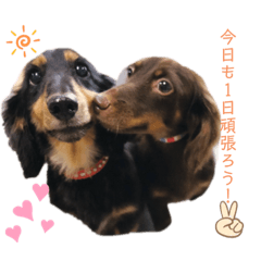 yuuki_20190701230139