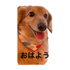 yossy_20190703230543