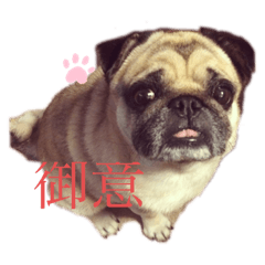 I  am mamezo.