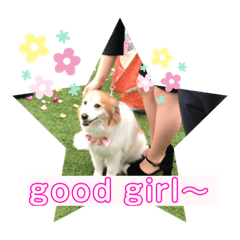 onodera dogs2