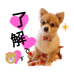 chan_20190704151033