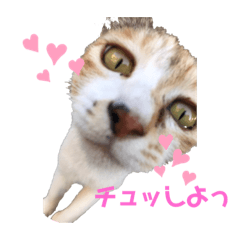 toko_20190705234058