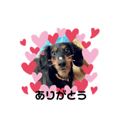 mizuki_20190705104223