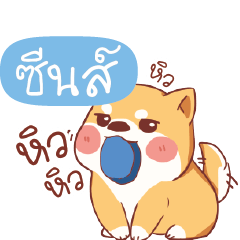 SEN Shiba naughty dog