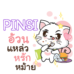 PINSI Seenuan cat_S e