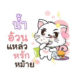 NAM Seenuan cat_S