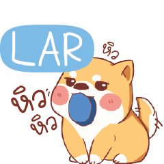 LAR Shiba naughty dog e