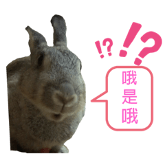 肥肥就是大屁屁