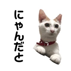 dai_20190705105009