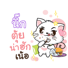 NICK2 Seenuan cat_N
