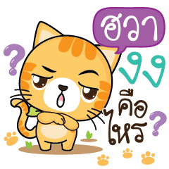 HWA Sesa cat_S