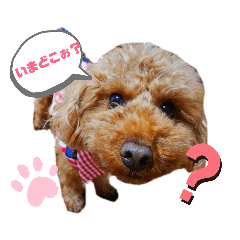 akane_20190706151533