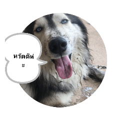 kid_20190707083724