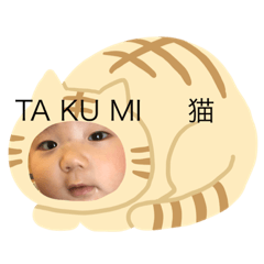 Hide_20190706164255