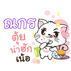 NAKON2 Seenuan cat_N