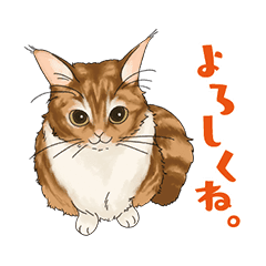 Chacha And Maron Line Stickers Line Store Chacha And Maron Line Stickers Line Store
