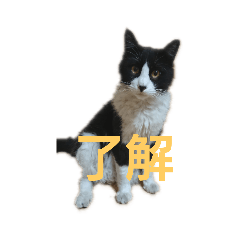 sakai_20190705213152