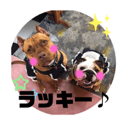 kirakirakira_20190706120731