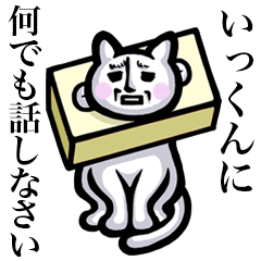 Stray cat!! Ikkun